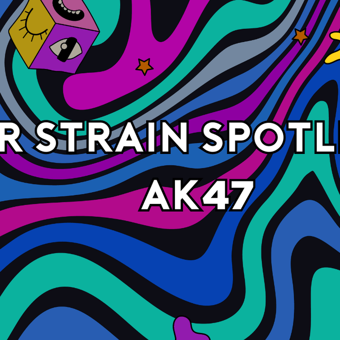 ELYXR Strain Spotlight AK47 A HardHitting Sativa Strain