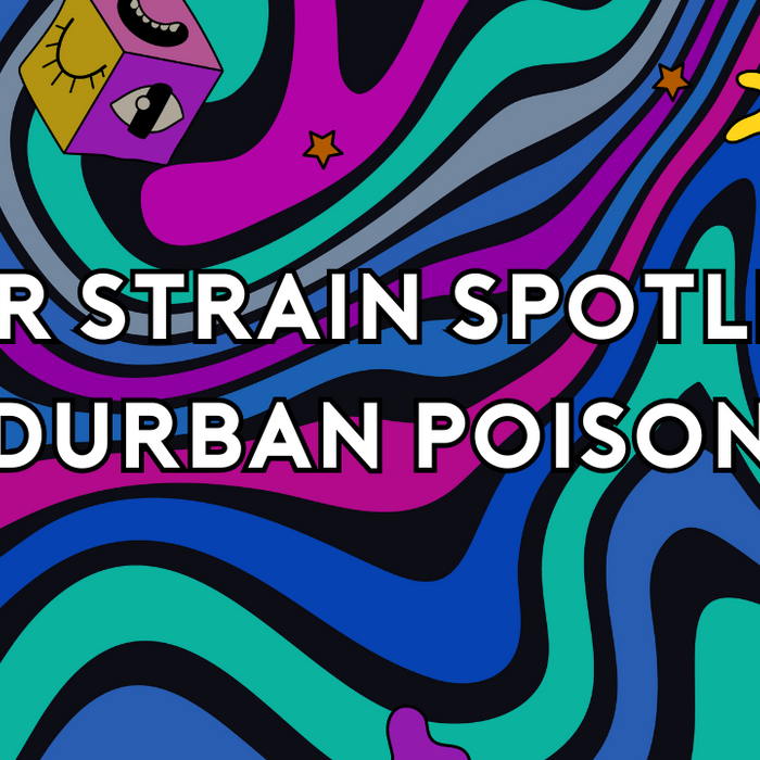 ELYXR Strain Spotlight: Durban Poison