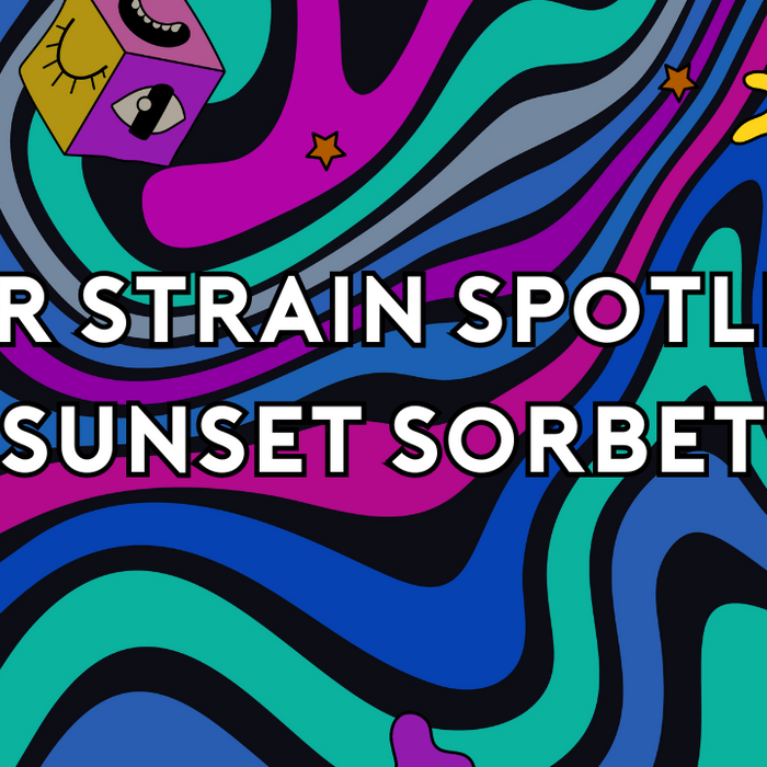 ELYXR Strain Spotlight: Sunset Sorbet