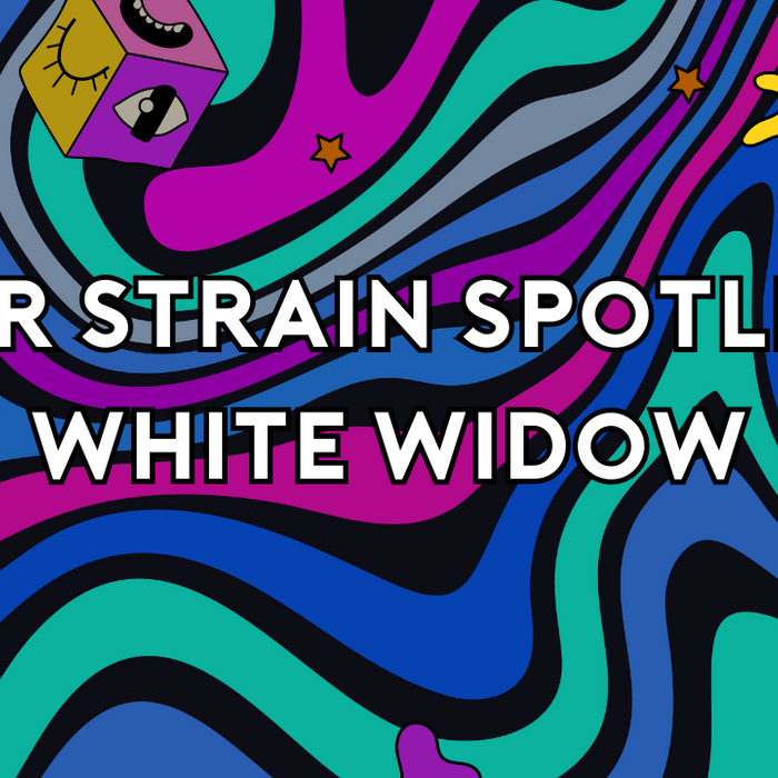 ELYXR Strain Spotlight: White Widow Strain