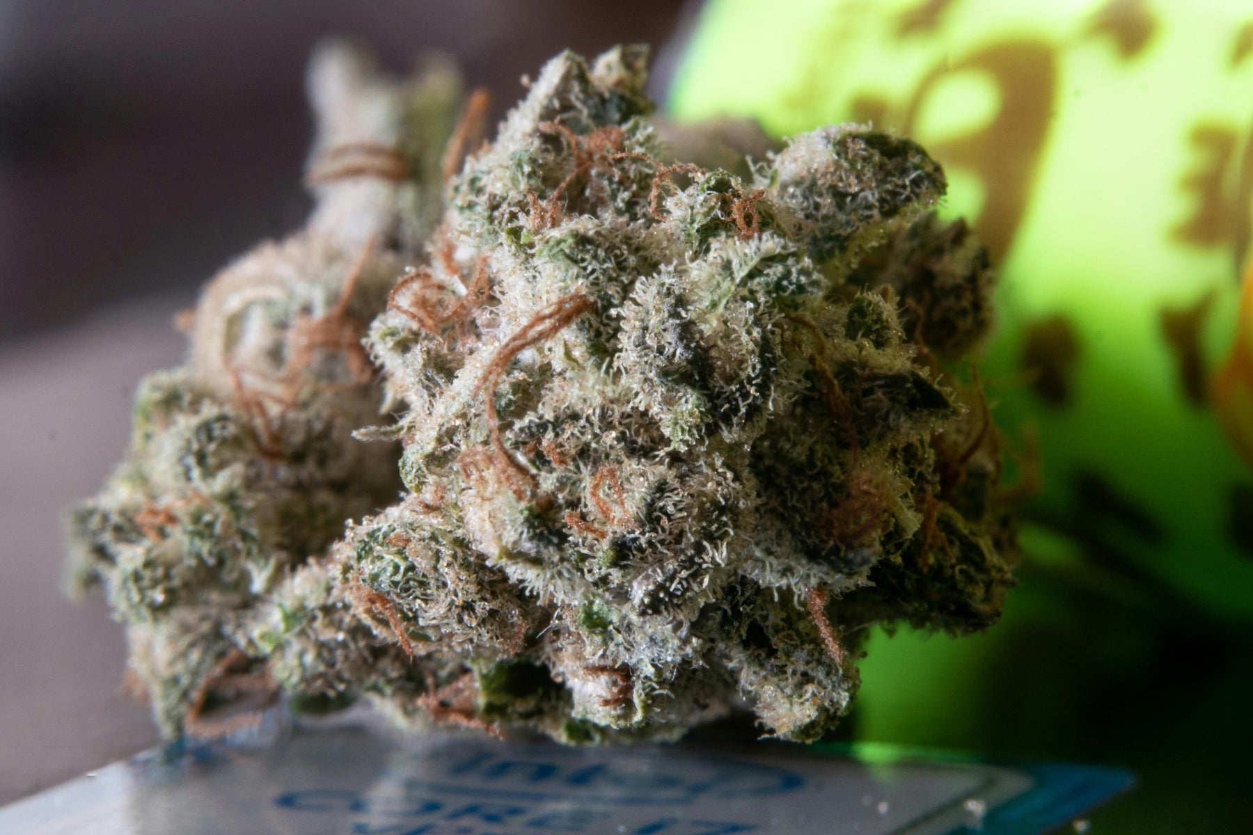 The Top 10 Most Popular Cannabis Strains in Tennessee