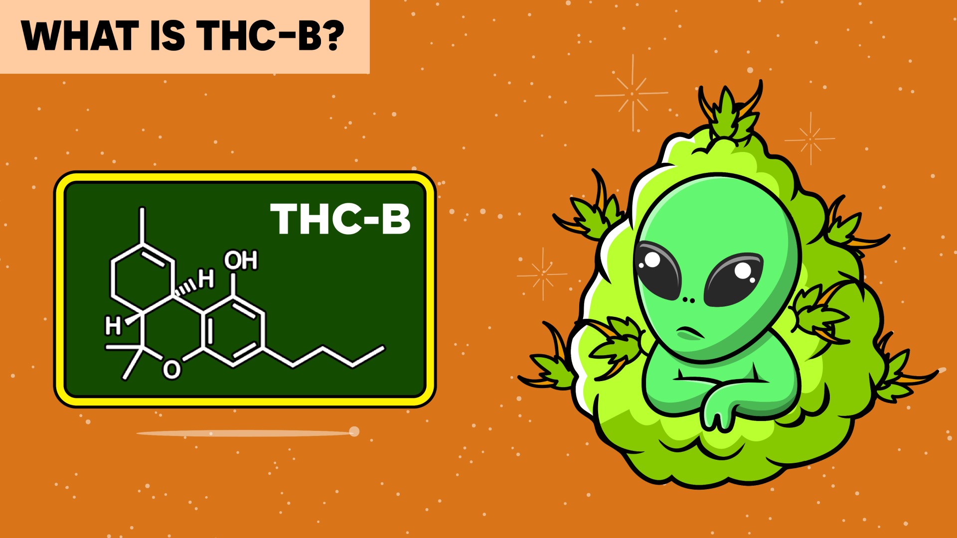 What is THC-B