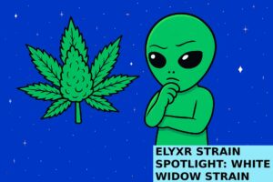 ELYXR Strain Spotlight White Widow Strain