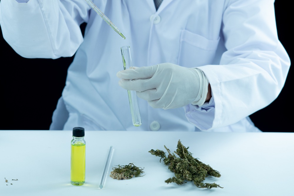 White Widow Uses and Effects