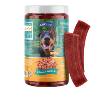 bacon-new-3.2.21_ffd6c68c-0526-4707-831b-78eb73a038cb-removebg-preview