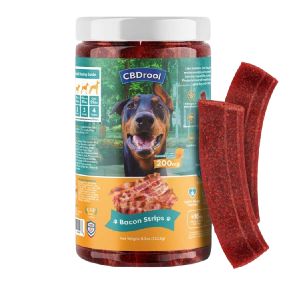 bacon-new-3.2.21_ffd6c68c-0526-4707-831b-78eb73a038cb-removebg-preview