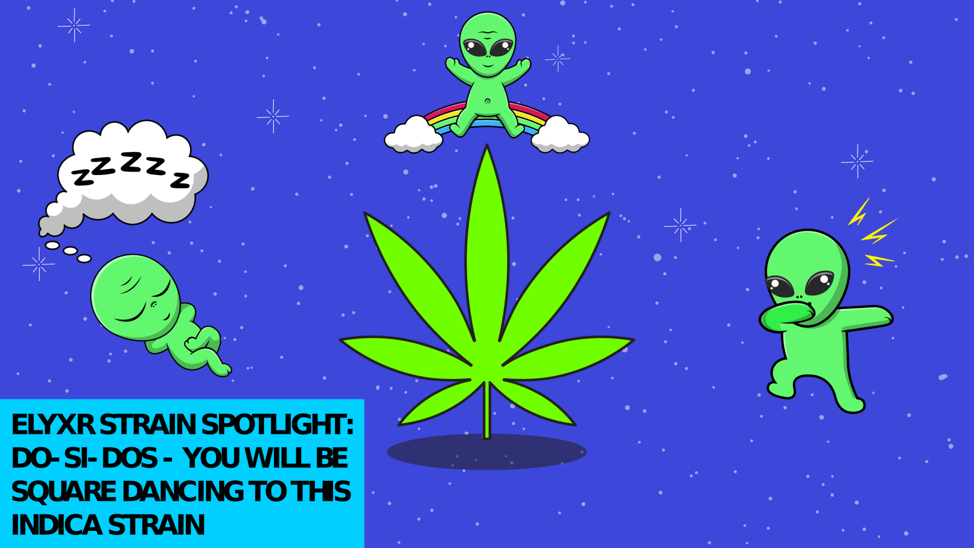 Do-Si-Dos Indica: ELYXR Strain Spotlight & Effects