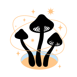 Mushroom Products