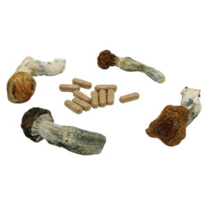 Psilo Mart Magic Mushroom Capsules -500mg
