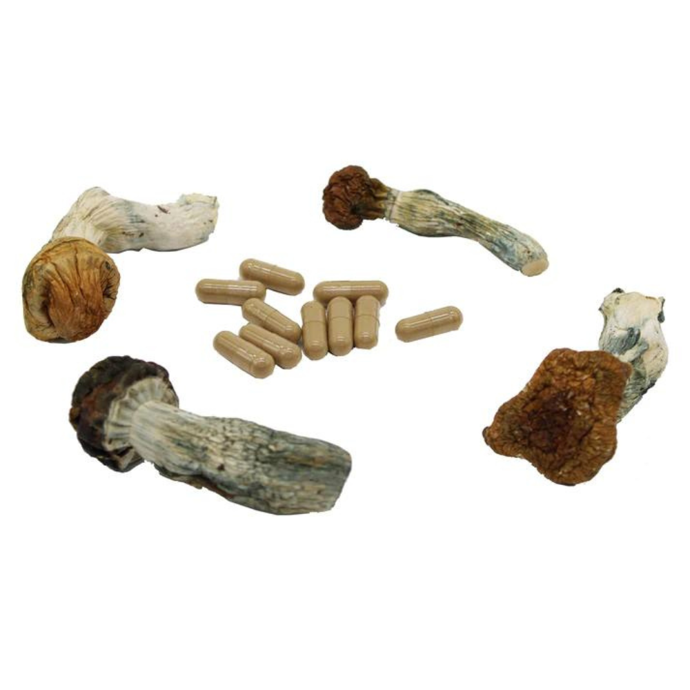 Psilo Mart Magic Mushroom Capsules -500mg