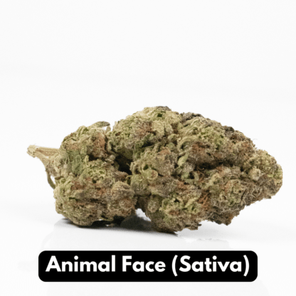 Buy Natural THC-A Flower (Indica ~ Black Ice - Smalls) | Elyxr Buy Natural THC-A Flower (Indica ~ Black Ice - Smalls) | Elyxr