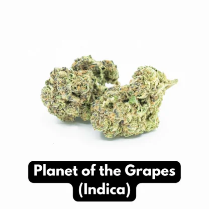 Natural THC-A Flower (Indica ~ Planet of the Grapes)