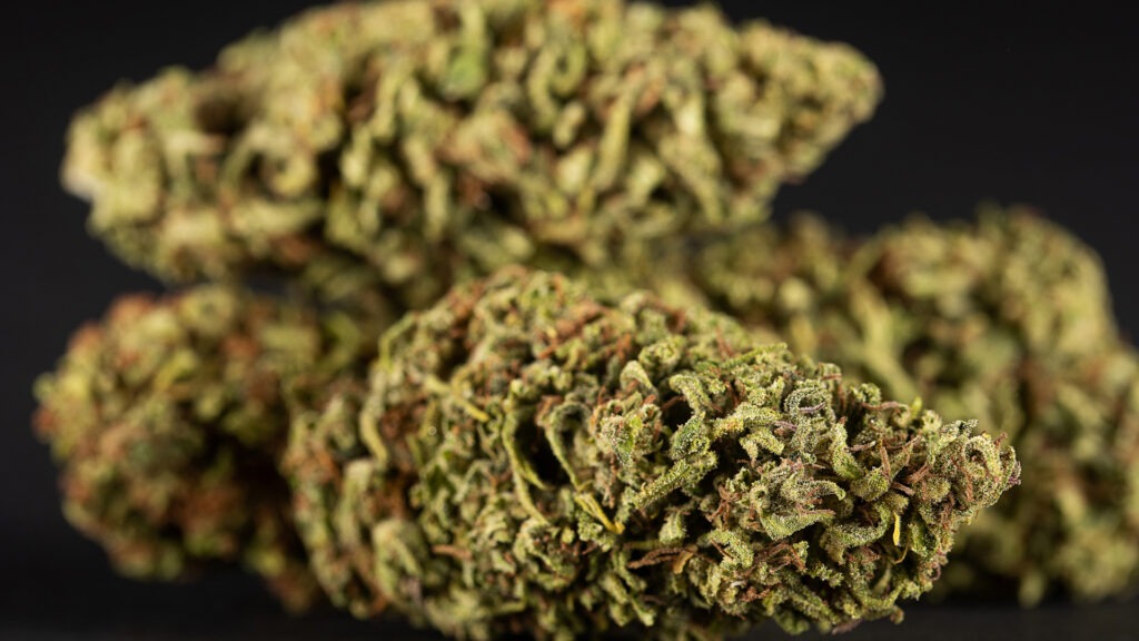 THC-A Flower Strain