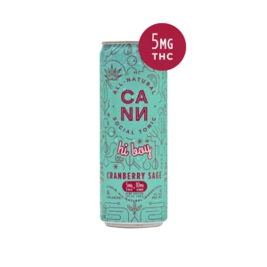 Cann Hi Boy Delta 9 Infused Seltzer - Cranberry Sage