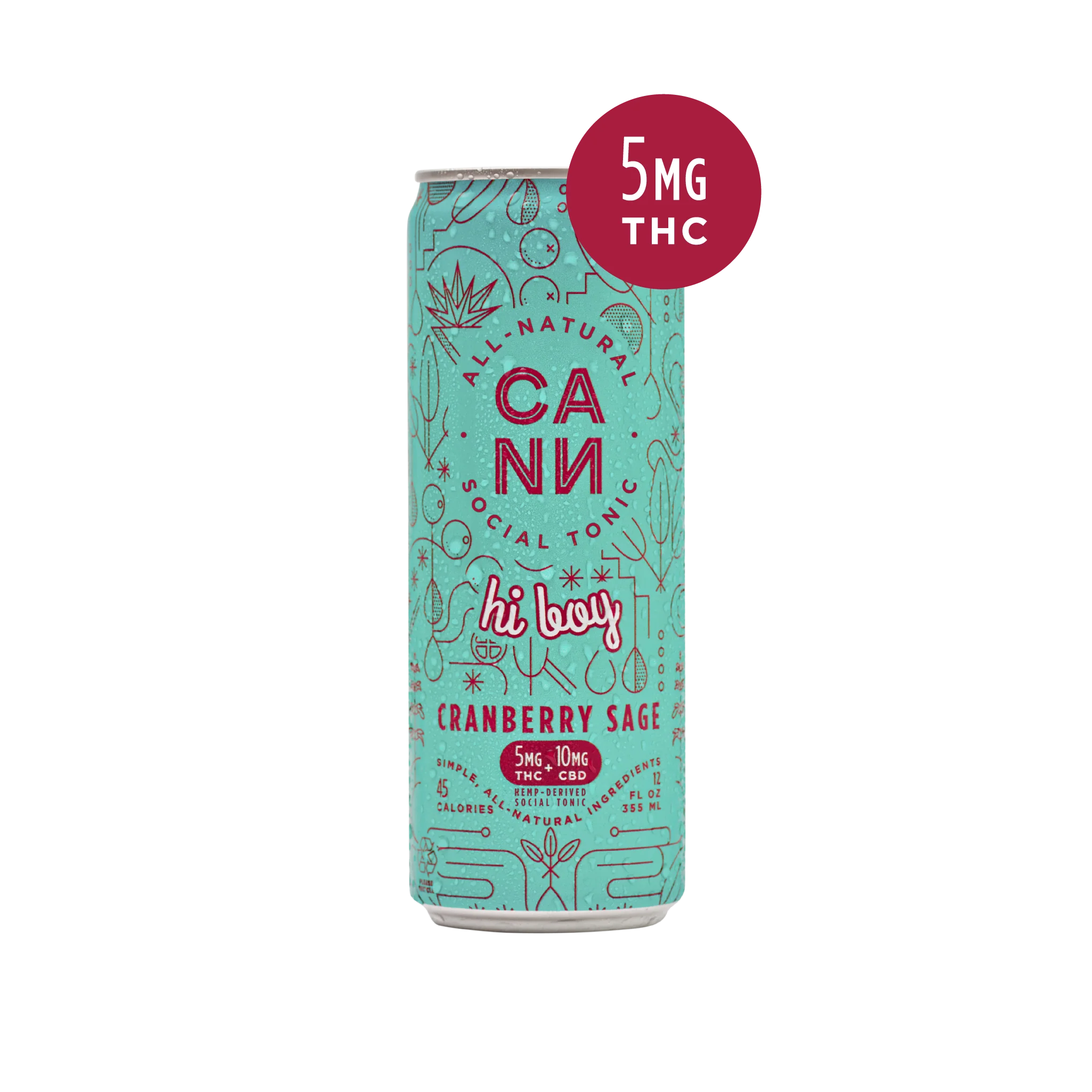 Cann Hi Boy Delta 9 Infused Seltzer - Cranberry Sage