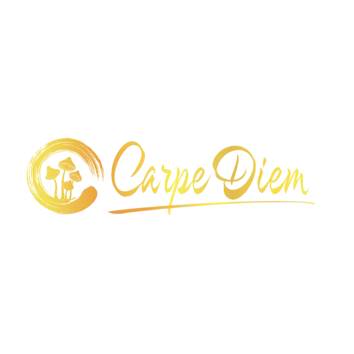 Carpe Diem