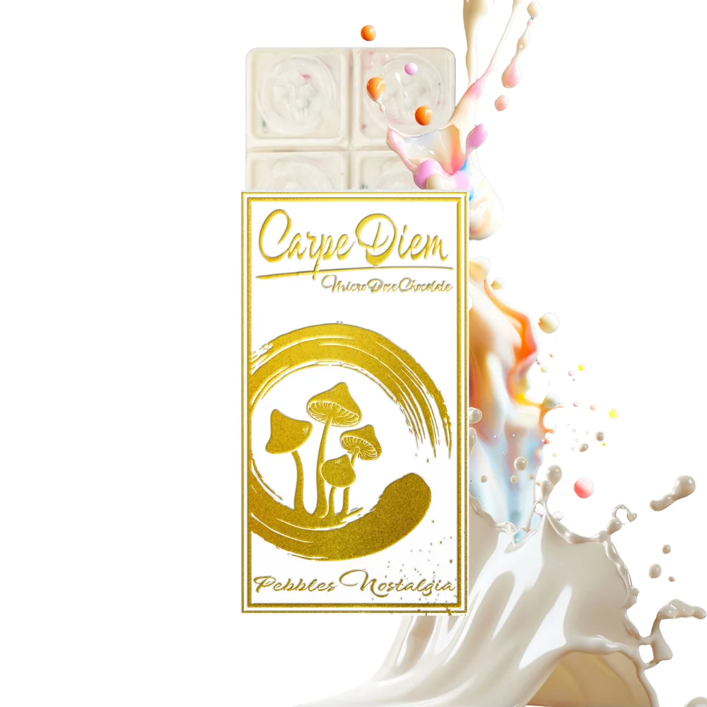 Carpe Diem Mushroom Chocolate Bar - Pebbles Nostalgia