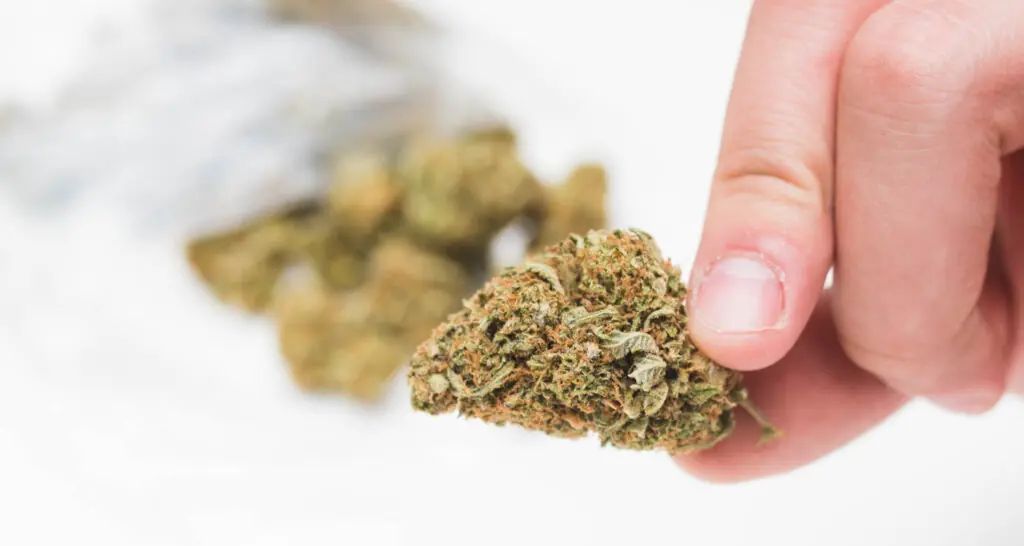 What is Delta 8 THC