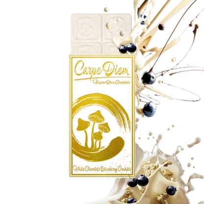 Carpe Diem Mushroom Chocolate Bar