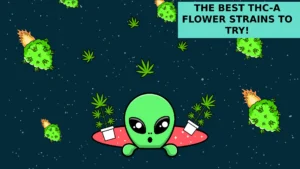 The Best THC-A Flower Strains to Try