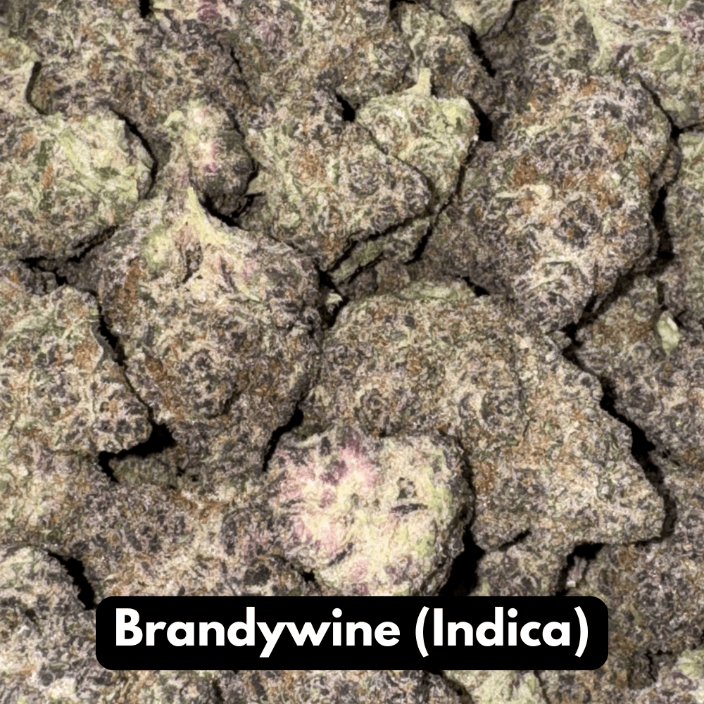 Brandywine (Indica)