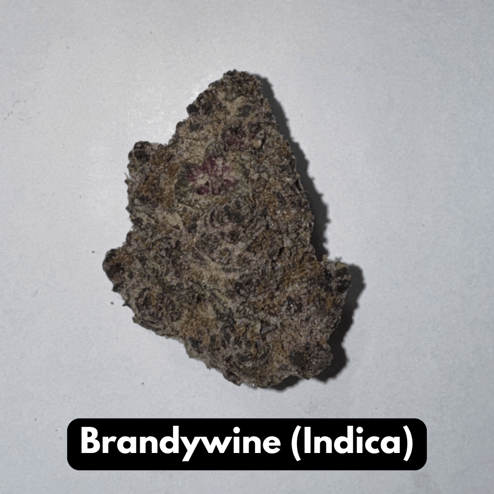 Brandywine (Indica)
