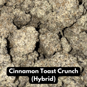 Cinnamon Toast Crunch (Hybrid)