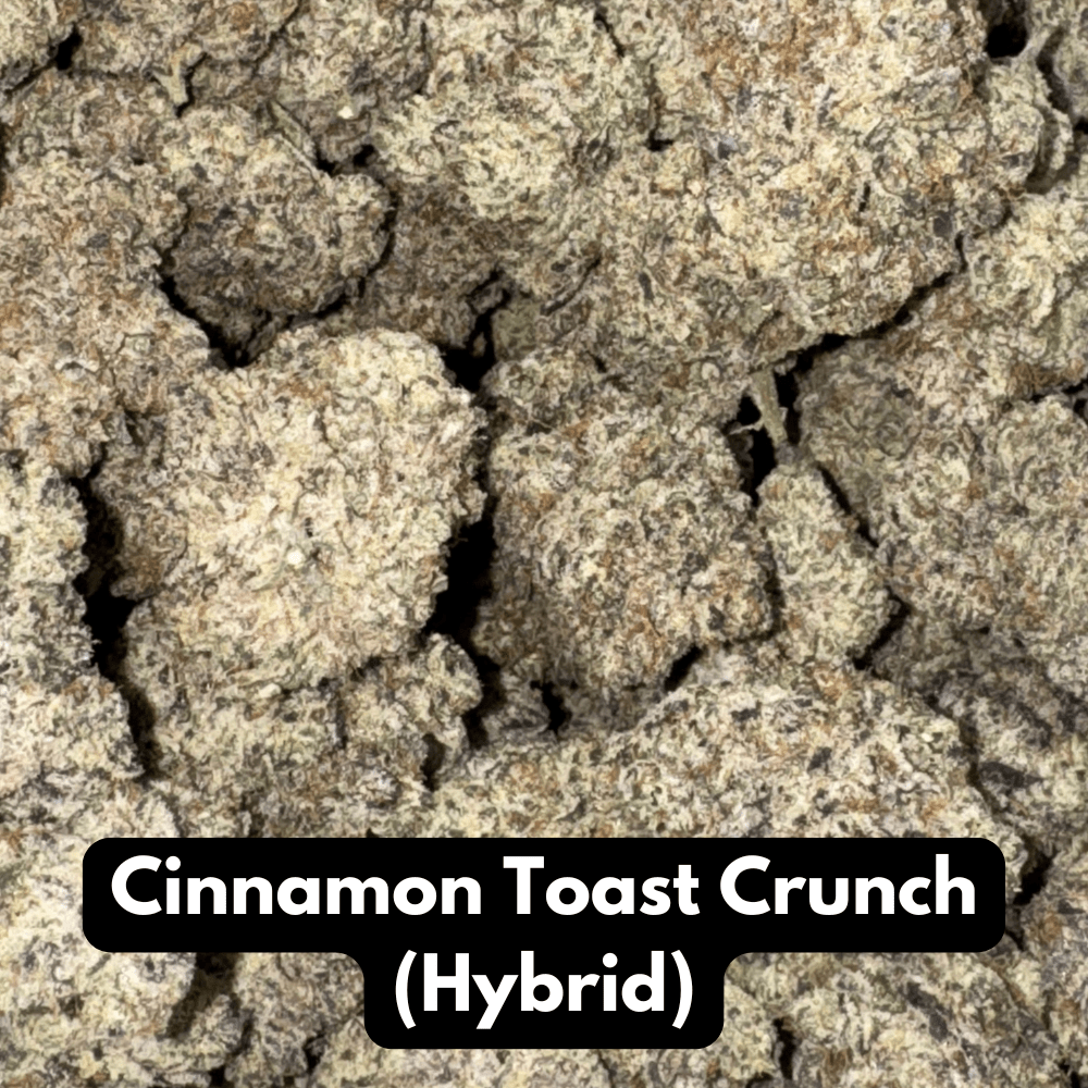 Cinnamon Toast Crunch (Hybrid)