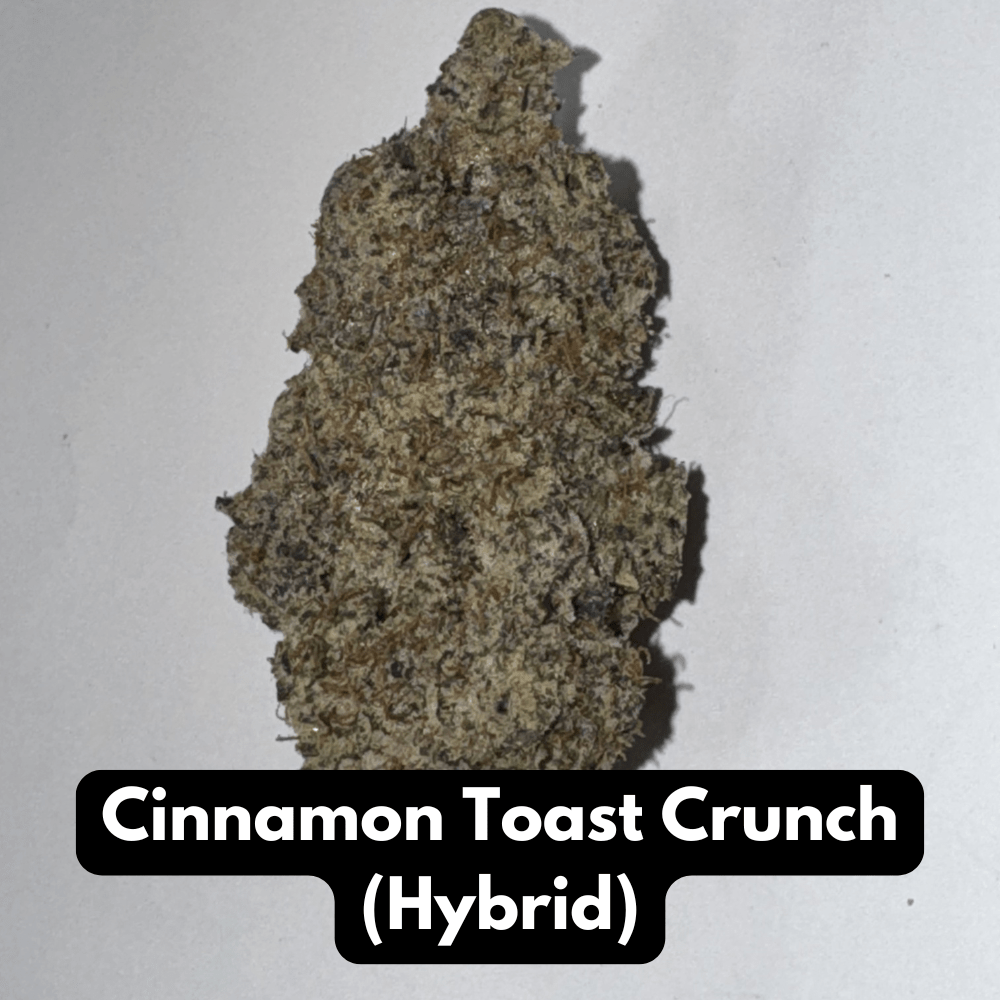 Cinnamon Toast Crunch (Hybrid)
