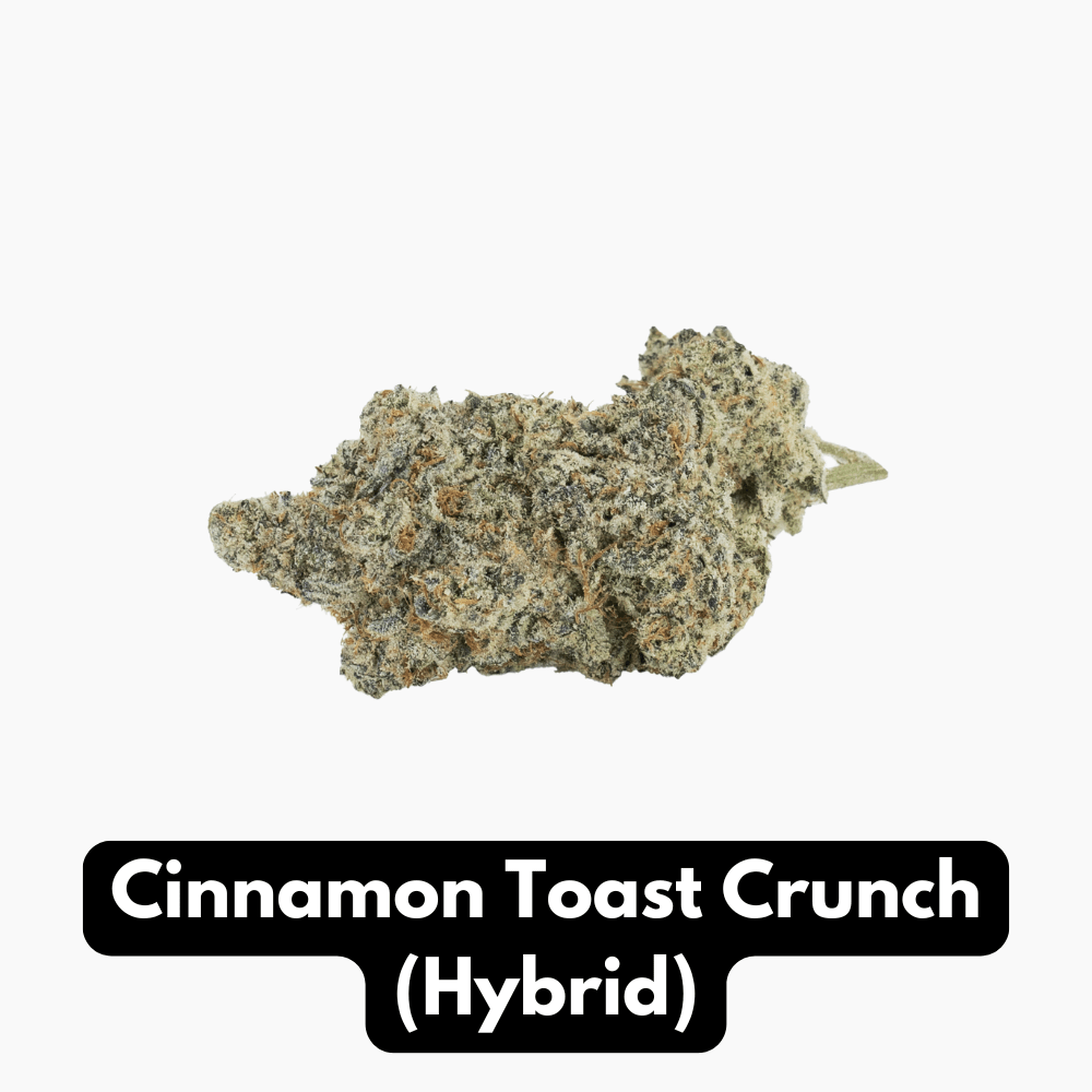 Cinnamon Toast Crunch (Hybrid)
