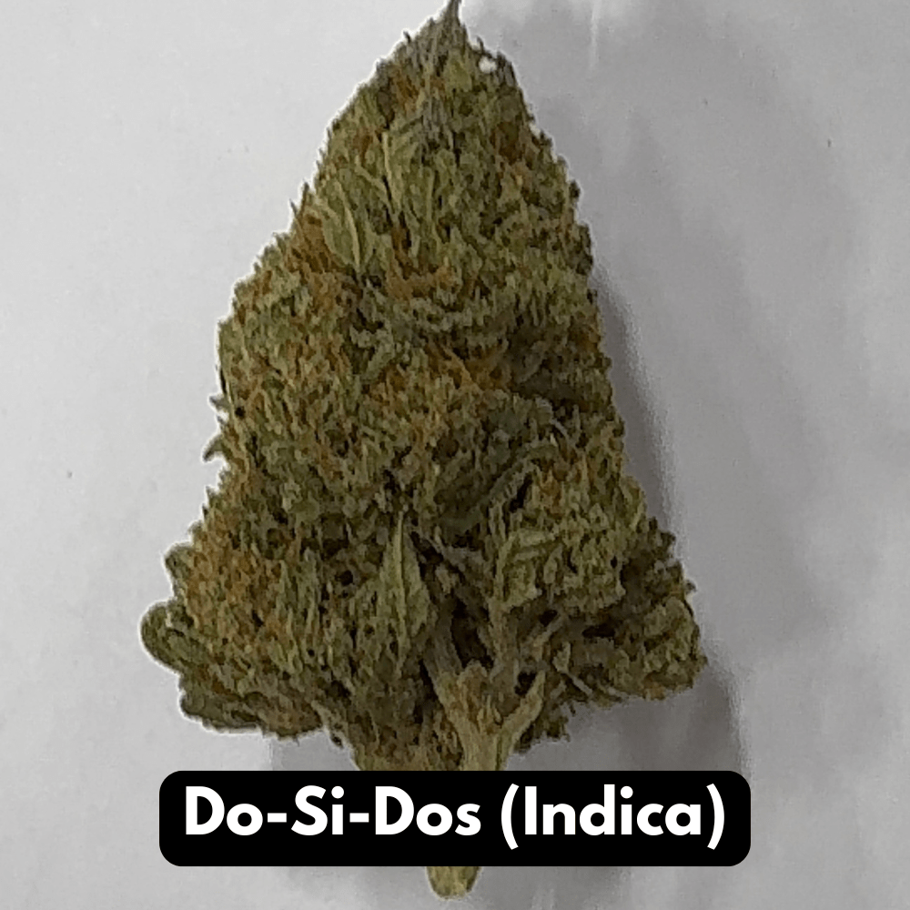 Do-Si-Dos (Indica)