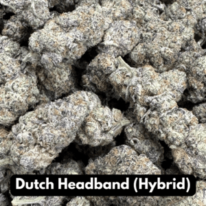 Dutch Headband (Hybrid)