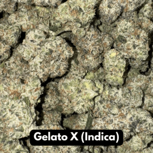 Gelato X (Indica)