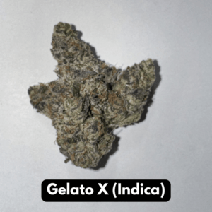 Gelato X (Indica)