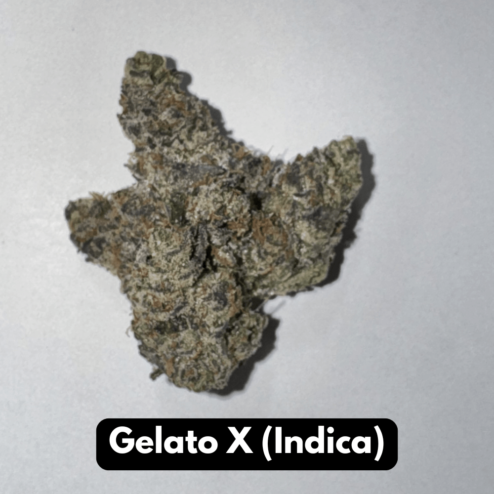 Gelato X (Indica)