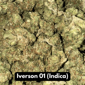 Iverson 01 (Indica)