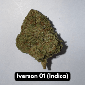 Iverson 01 (Indica)