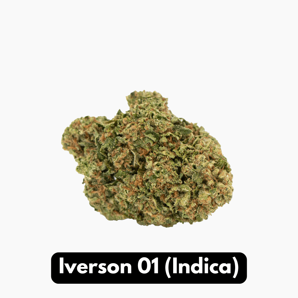 Iverson 01 (Indica)