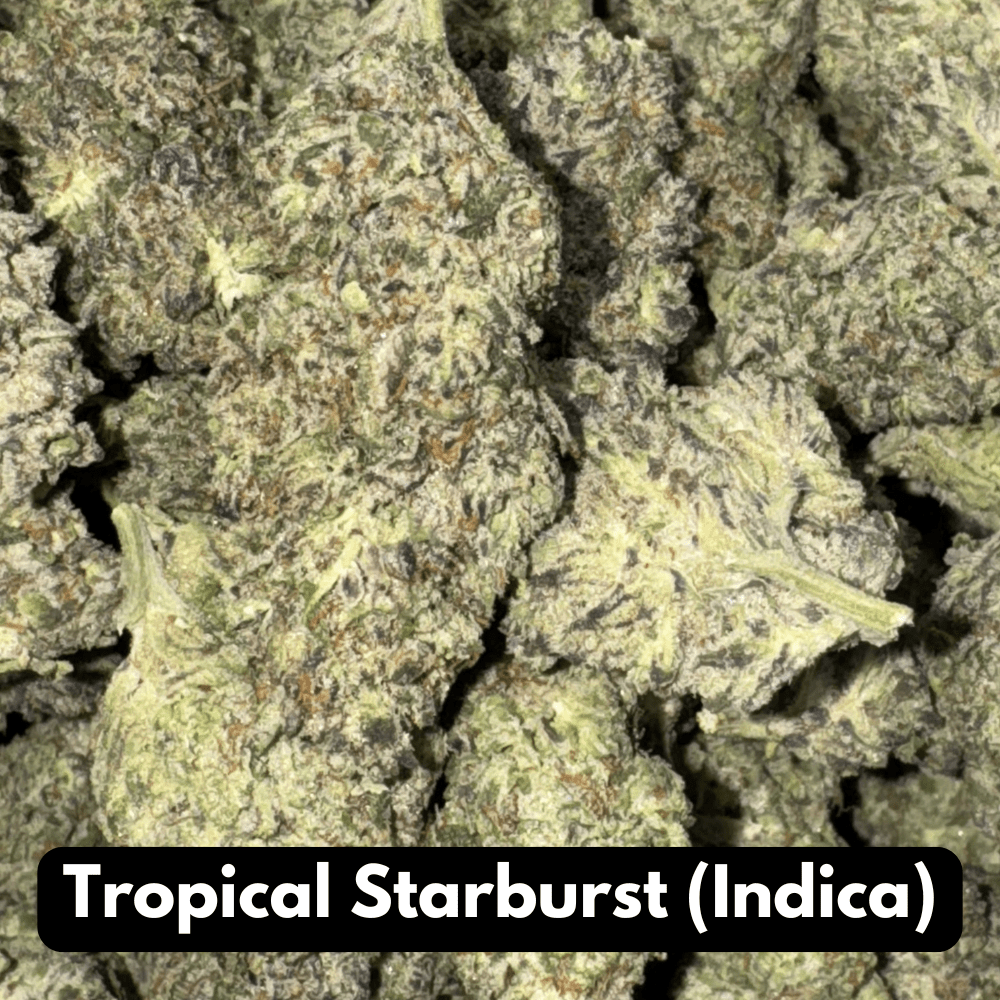 Tropical Starburst (Indica)