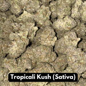 Tropicali Kush (Sativa)