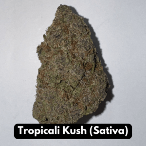 Tropicali Kush (Sativa)