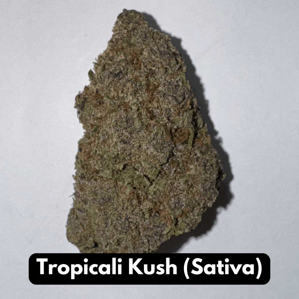 Tropicali Kush (Sativa)