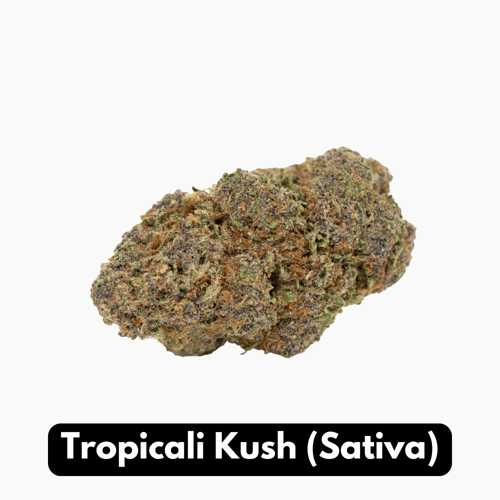 Tropicali Kush (Sativa)