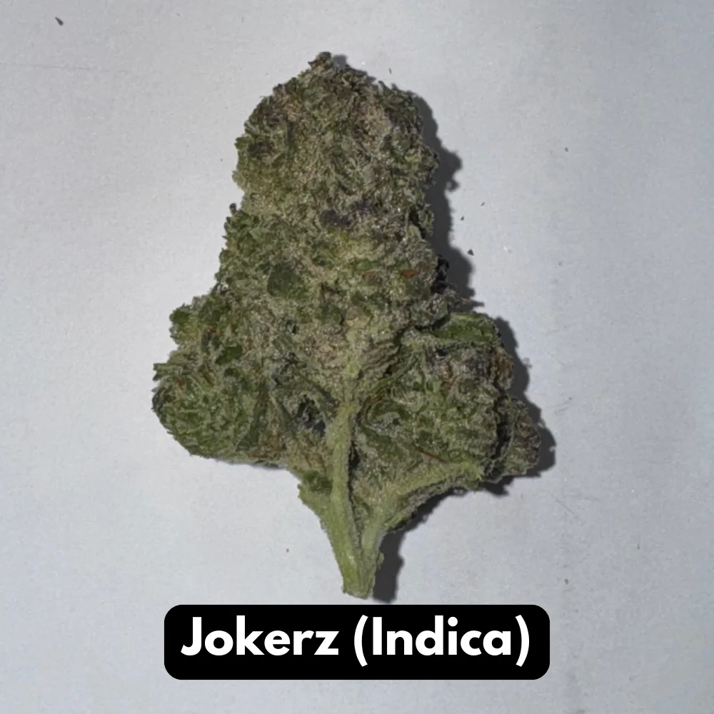 Natural THC-A Flower (Indica ~ Jokerz)