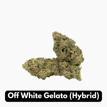 Natural THC-A Flower (Hybrid ~ Off White Gelato)
