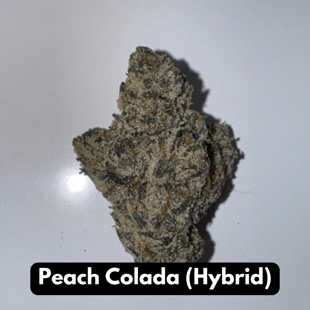 Natural THC-A Flower (Hybrid - Peach Colada)