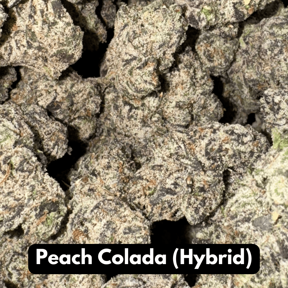 Natural THC-A Flower (Hybrid - Peach Colada)