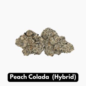 Natural THC-A Flower (Hybrid ~ Peach Colada)