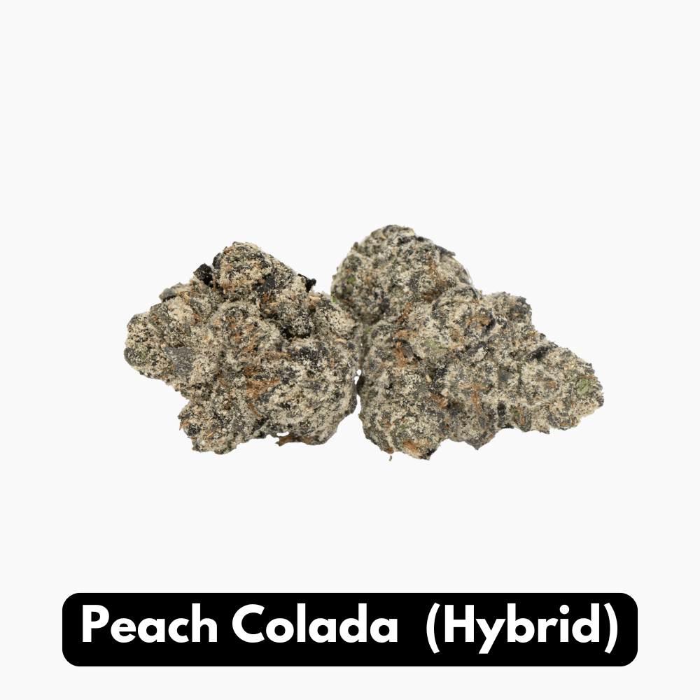 Natural THC-A Flower (Hybrid ~ Peach Colada)