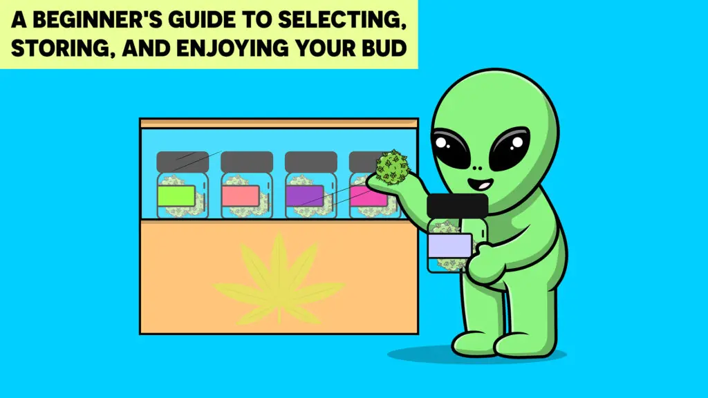 Beginners_guide_bud-a011